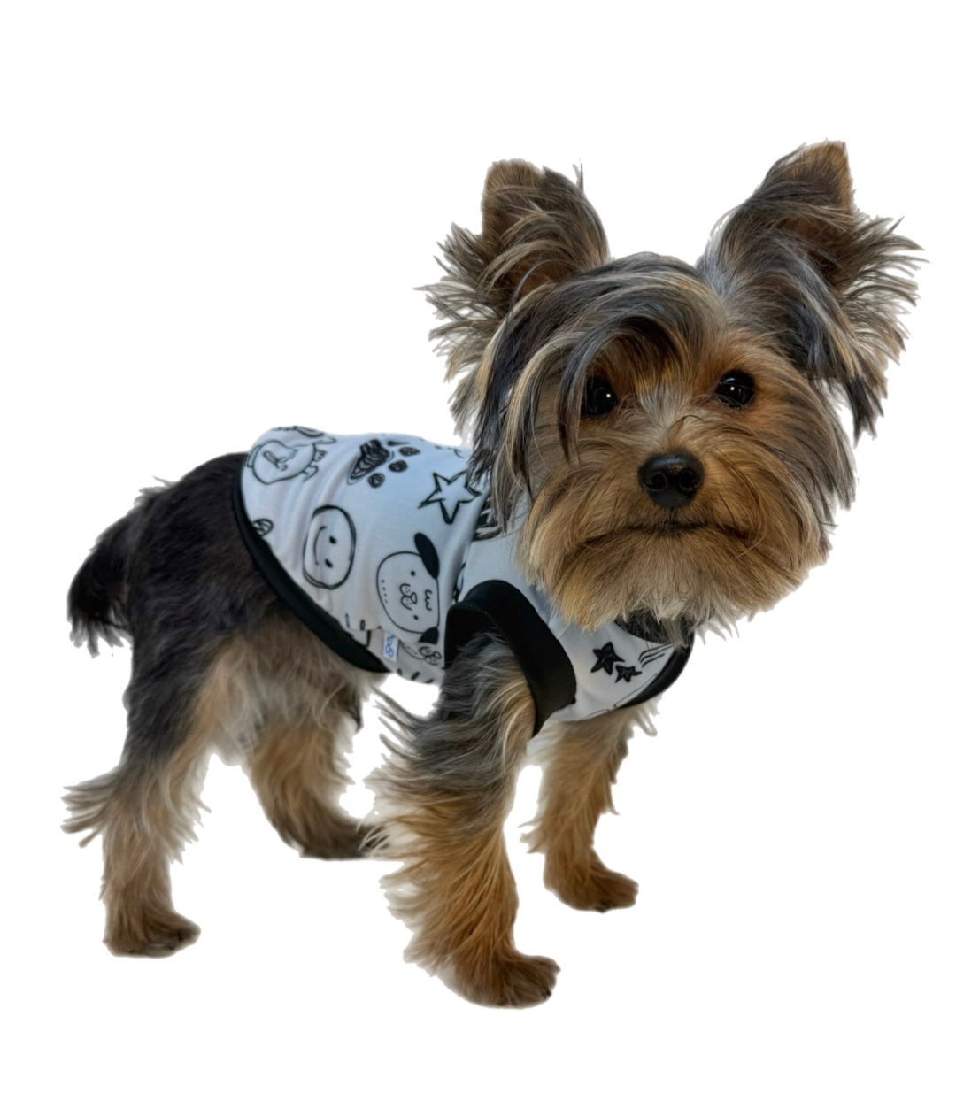 Doodly Doo Chalk Pastel Blue Dog Cooling Tank