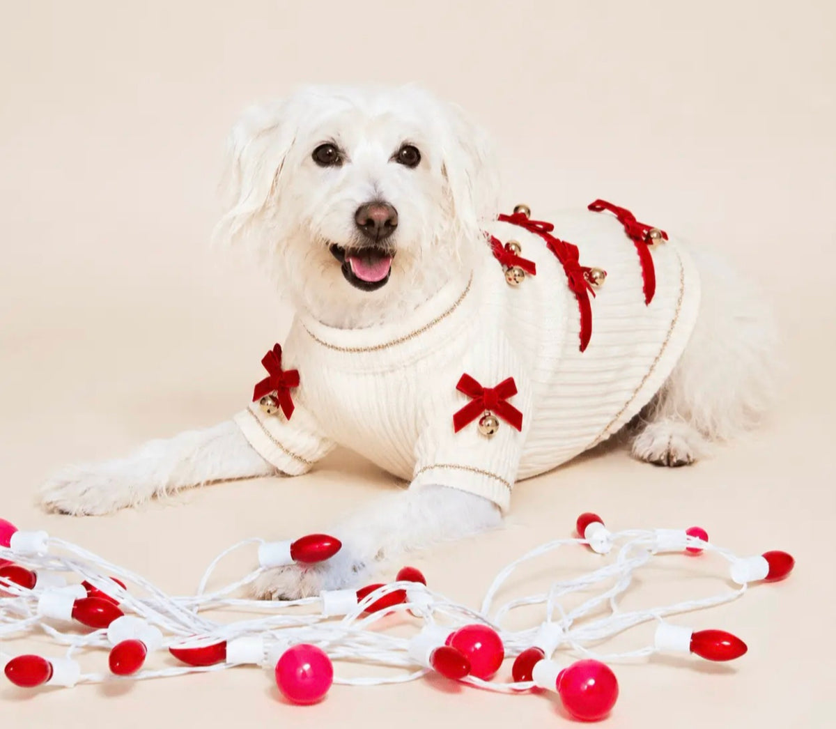 Red Ribbon Jingle Bells Dog Sweater