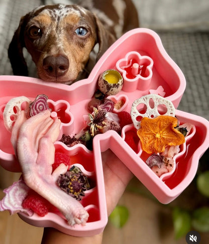 Coquette Forage Feeder