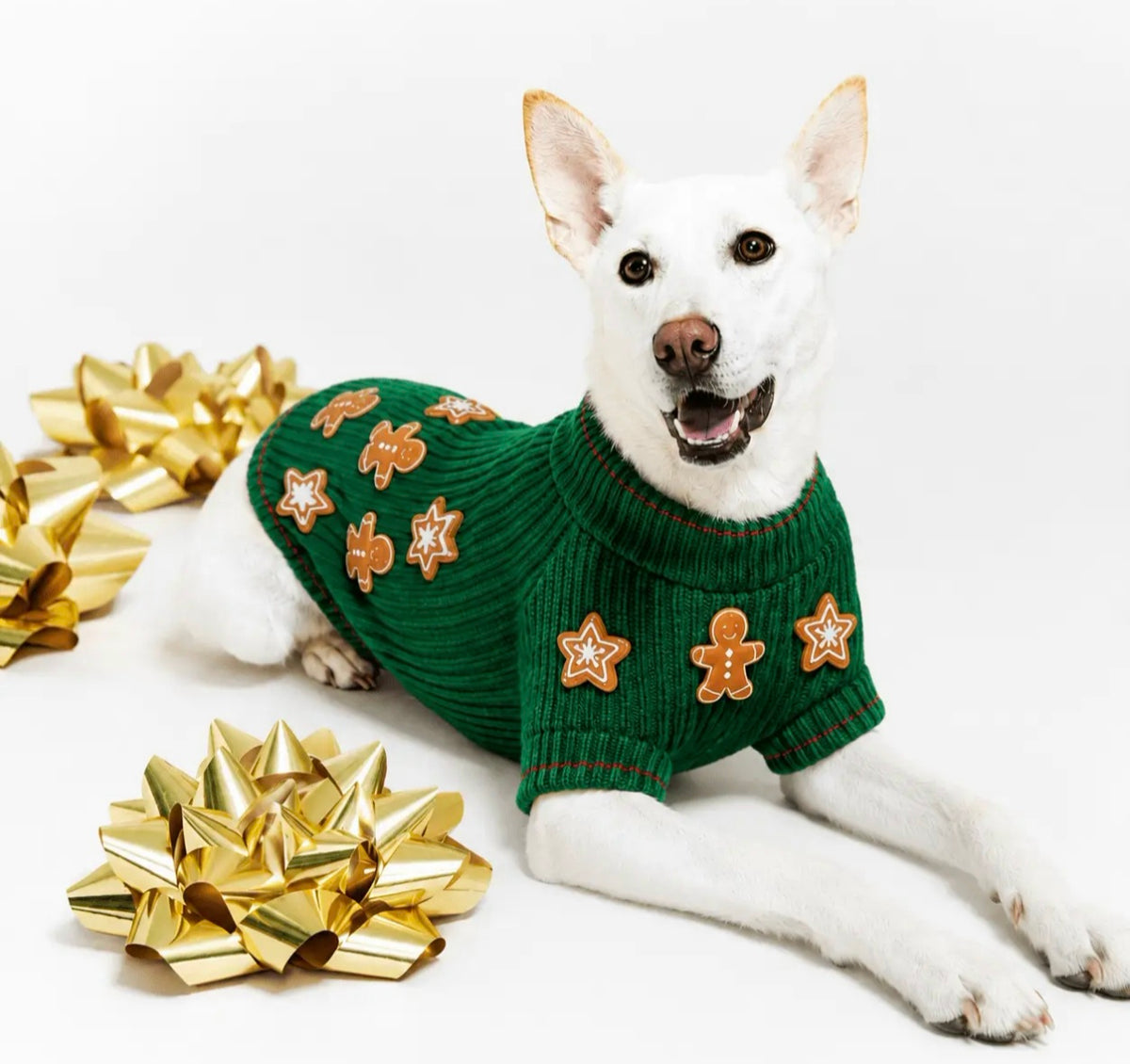 Gingerbread Christmas Cookie Dog Sweater