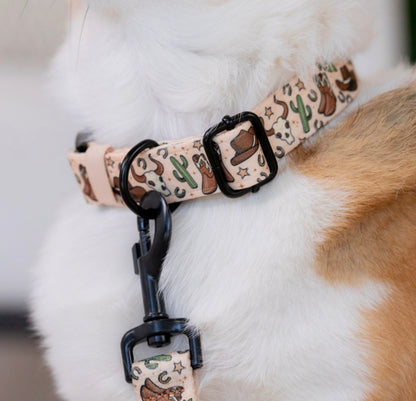 Howdy Pawtner Cowboy Dog Collar
