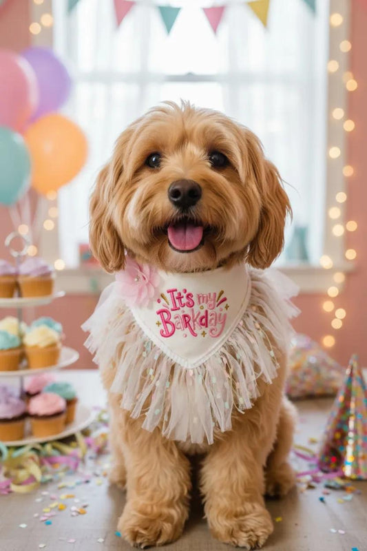 Its My BarkDay Pink with Piping Trim Dog Bandana