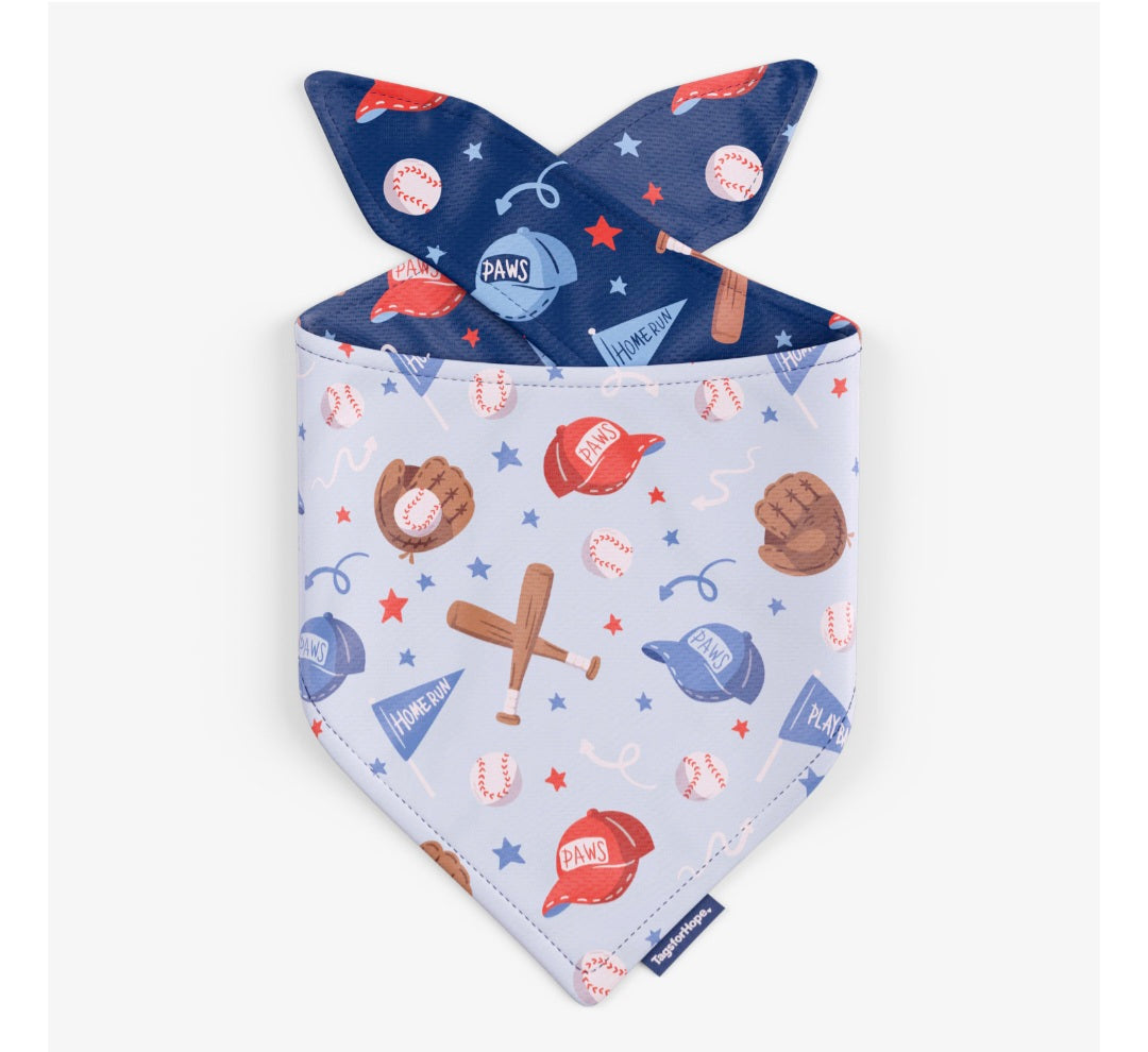 Perfect Pitch Baseball Fun Reversible Dog Bandana