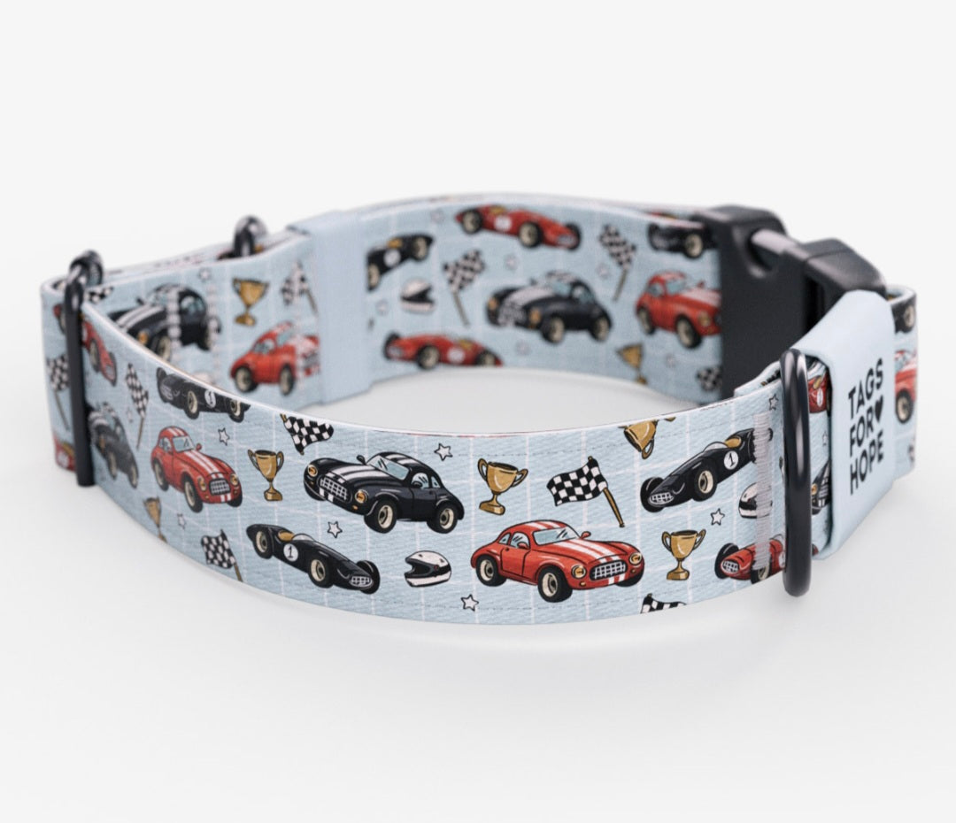 Fast & Furry Cars Dog Collar