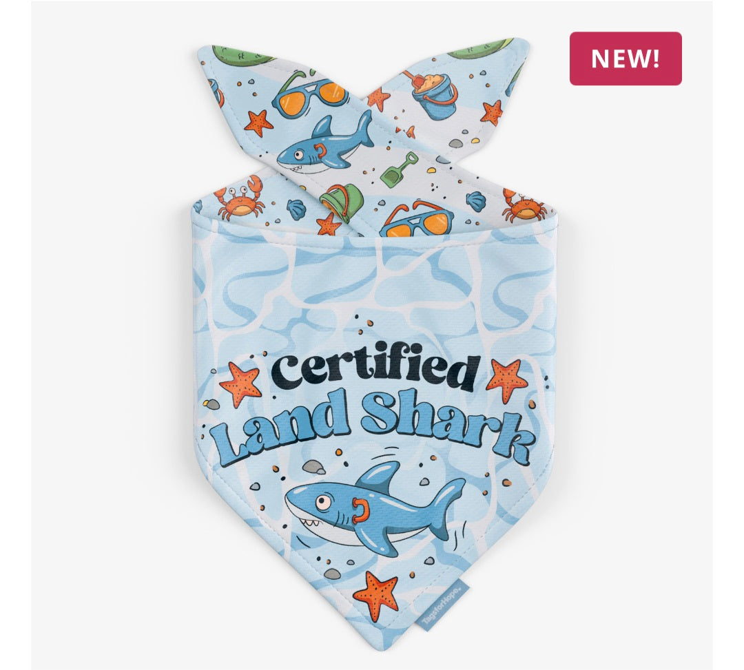 Beach Beasties Reversible Dog Bandana - Blue