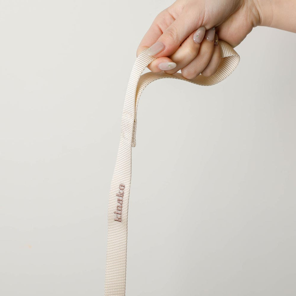 Ribbon Embroidered Harness + Lead Set