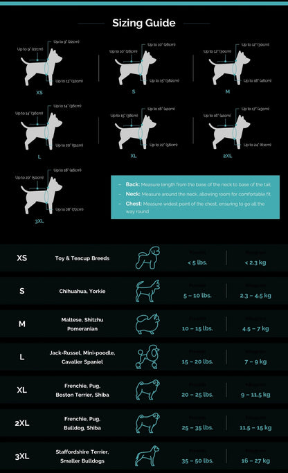 Labubu Dog Tracksuit