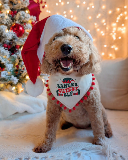 Santa's Cutest Elf Pom with Pom Pom Trim Dog Bandana