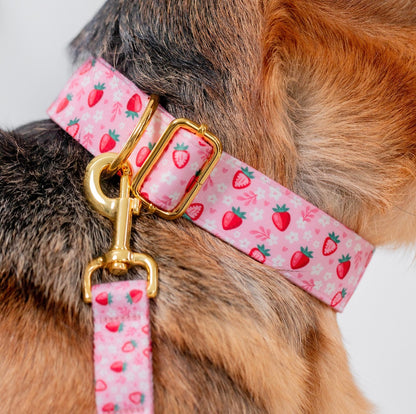 Strawberry Sweetheart Dog Collar
