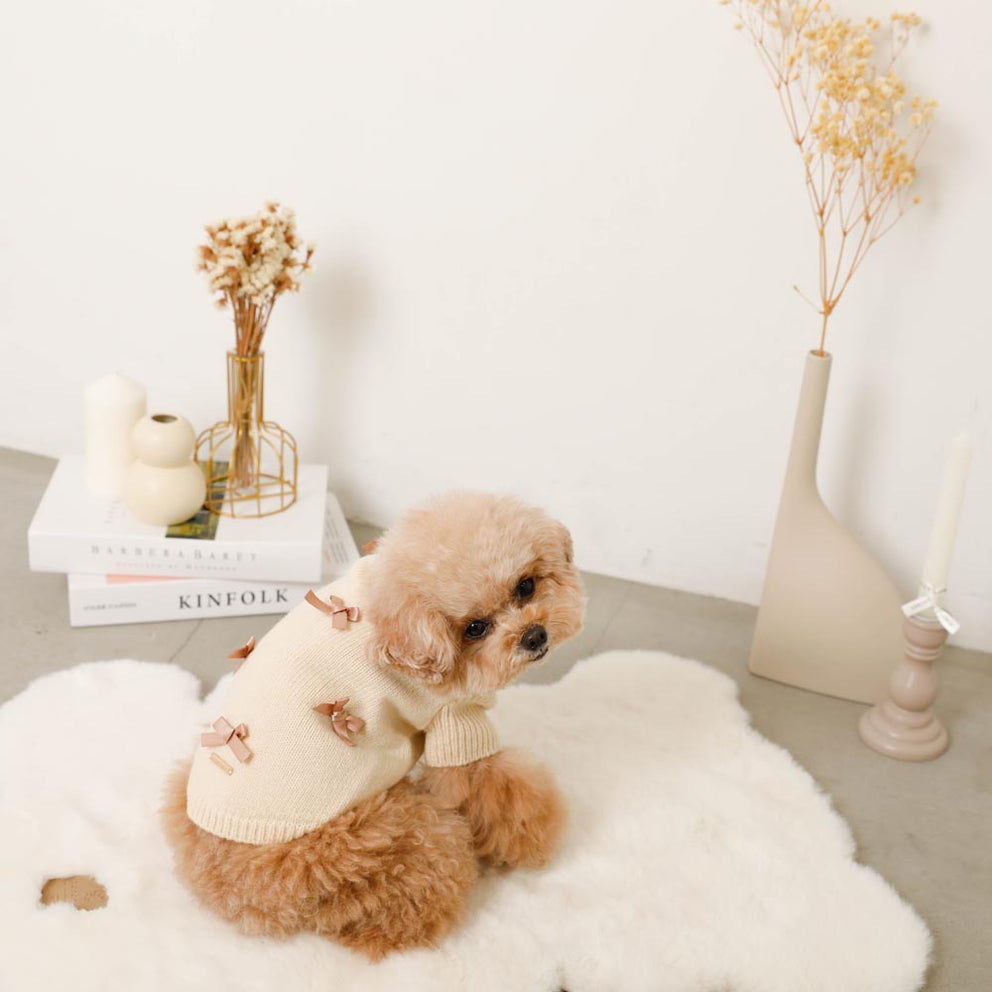 Ribbon Motif Knit Sweater