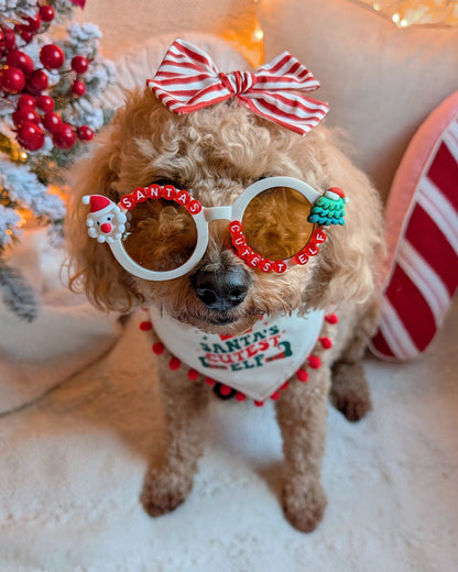 Santa's Cutest Elf Sunglasses