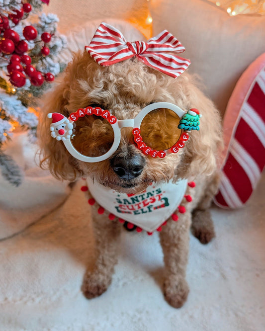 Santa's Cutest Elf Sunglasses