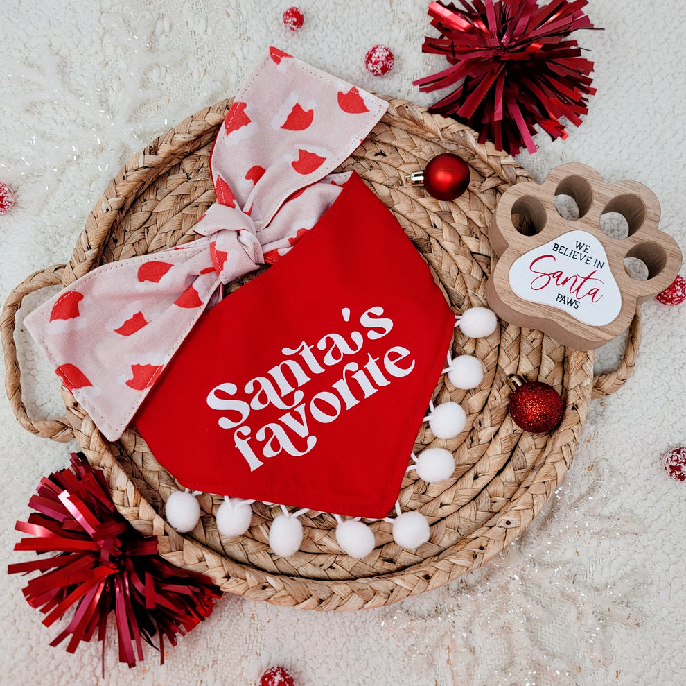Santa's Favorite Pom Poms Dog Bandana