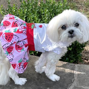 Dog Dress with Matching Leash - Strawberry Picnic