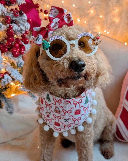 Very Merry Sunglasses