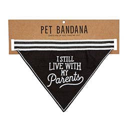 Bandana para mascotas: vive con tus padres