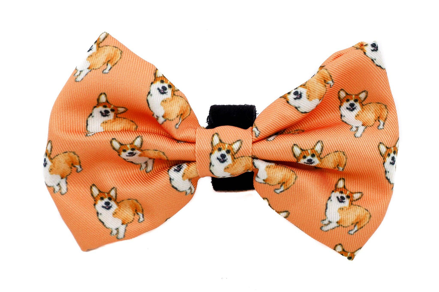 Corgi - Dog Bow Tie