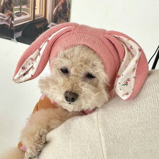 Ozzie - Cute Dog Hat