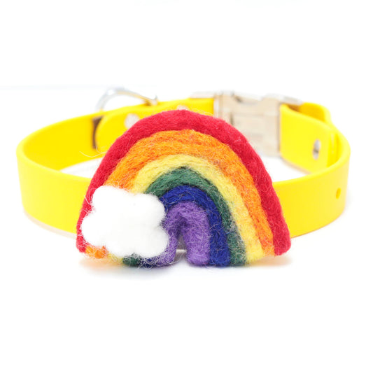 Rainbow Dog Collar Accessory - Bold
