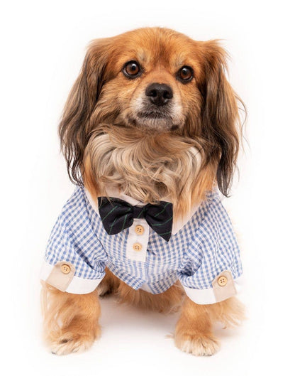 Camisa para perro con pajarita de fiesta