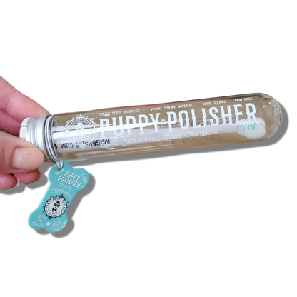 Mini cepillo de dientes Puppy Polisher