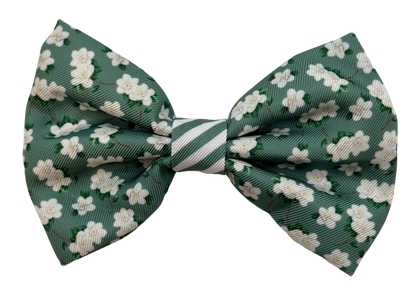 Magnolia Dog Bow Tie