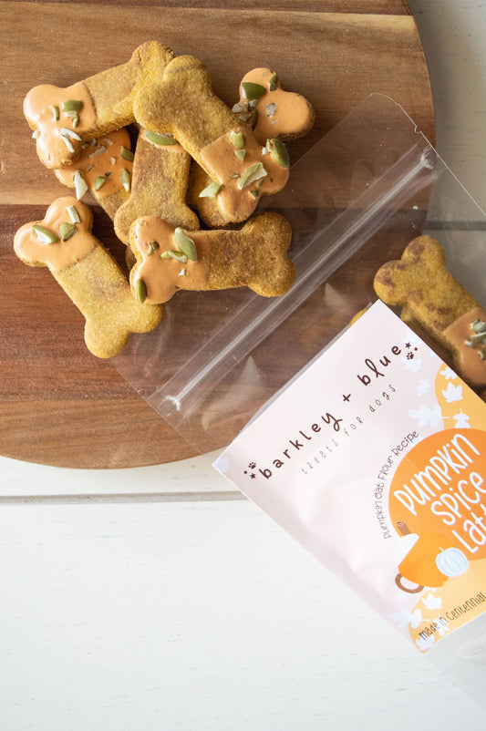 Pumpkin Spice Latte Dog Biscuit Treats