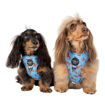Arnés ajustable para perros Dachshund