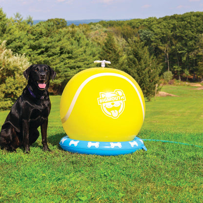 Rociador de pelotas de tenis - BigMouth Pets