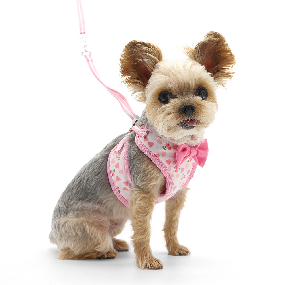 EasyGO Dog Harness Cherish Heart