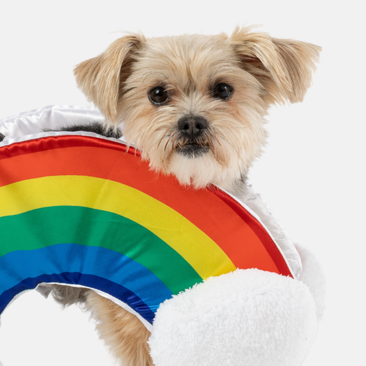 Disfraz de perro arcoiris