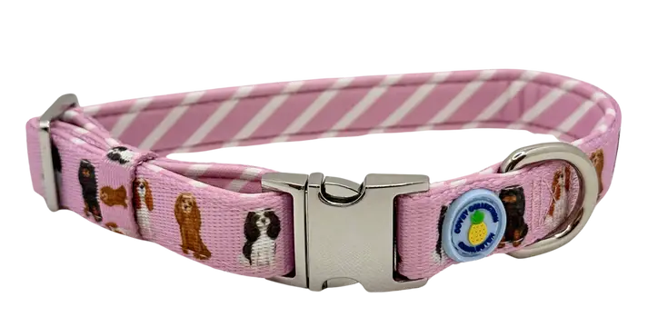 Cavalier Dog Collar - Small