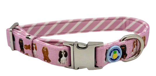 Cavalier Dog Collar - Small