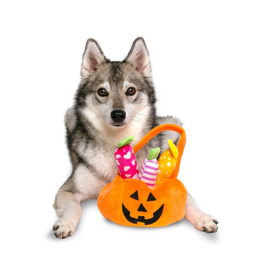 Cubo de juguete con forma de calabaza de Halloween Find A Toy de Midlee para perros