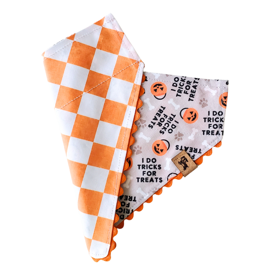 I Do Tricks for Treats - Reversible Dog Collar Bandana