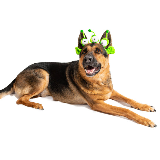 Diadema y bandana para disfraz de perro extraterrestre de Midlee
