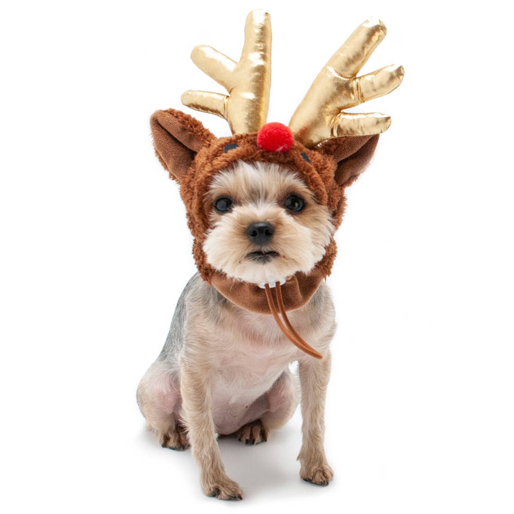 Rudolph Hat Costume