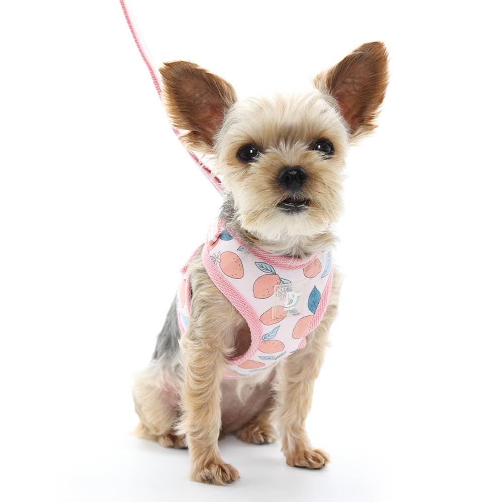 EasyGO Dog Harness Lemon Pink