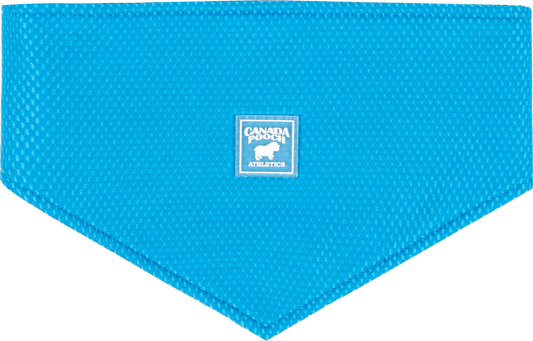 Chill Seeker Cooling Bandana - Blue