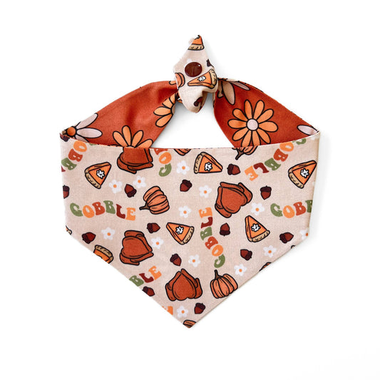 Boho Thanksgiving Reversible Tie On Dog Bandana