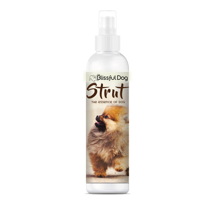 Olfateo de colonia Strut Dog irresistible
