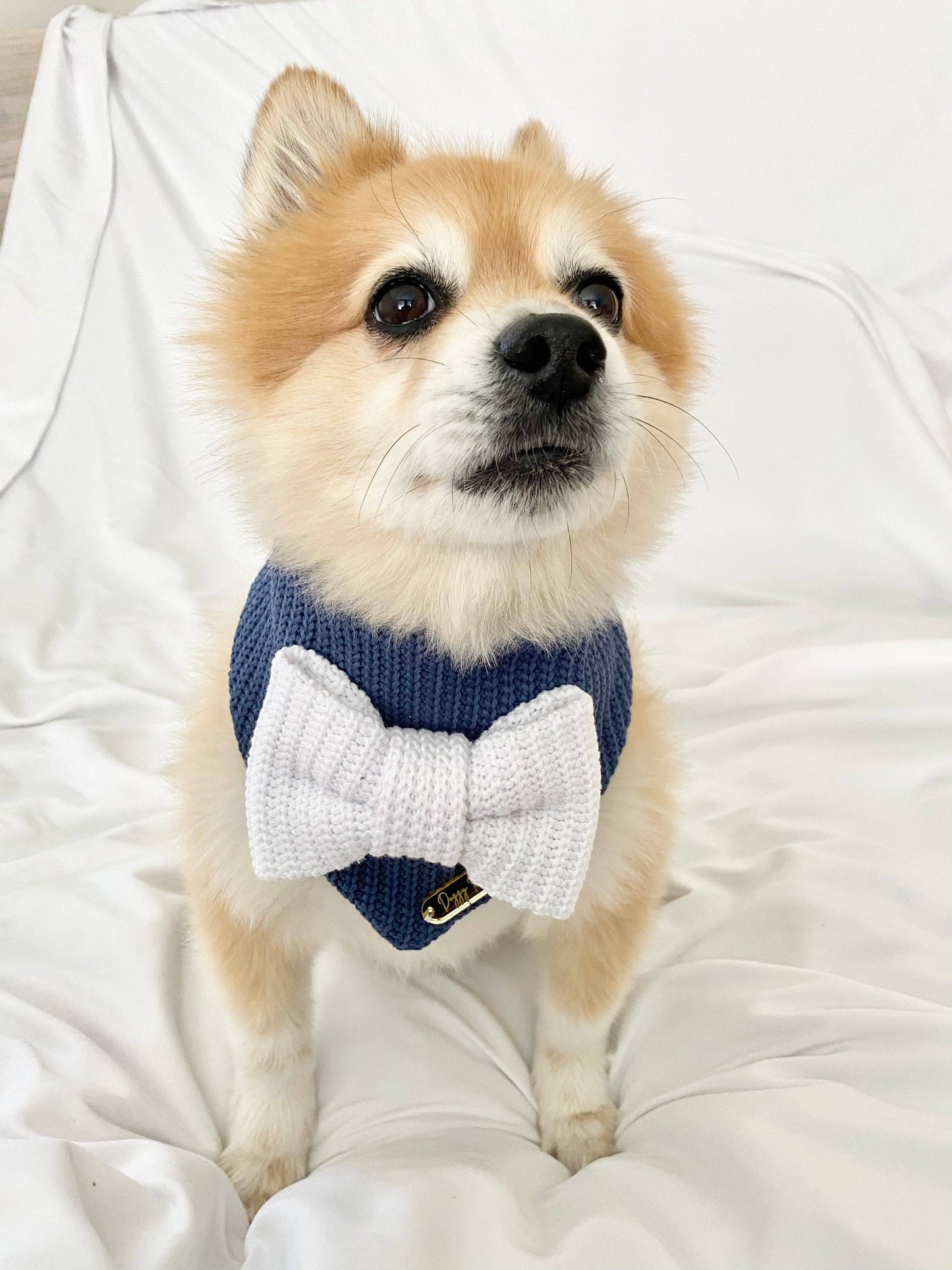 Navy Babe Dog Bandana Bow