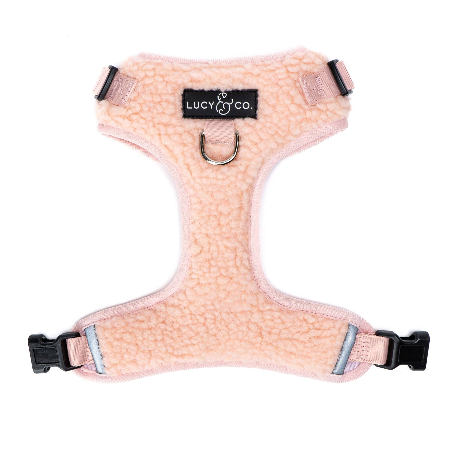 The Rosewater Teddy No-Pull Harness