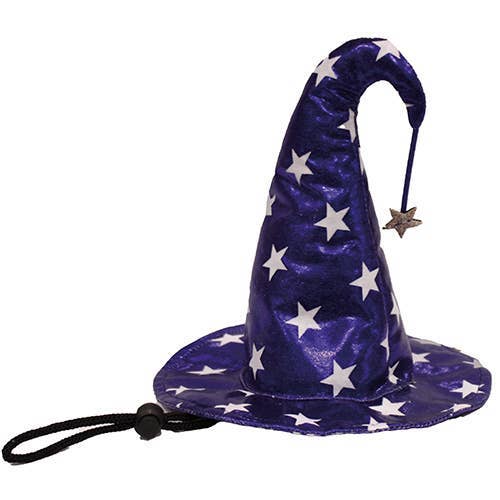 Halloween Tricky Wizard Dog Hat