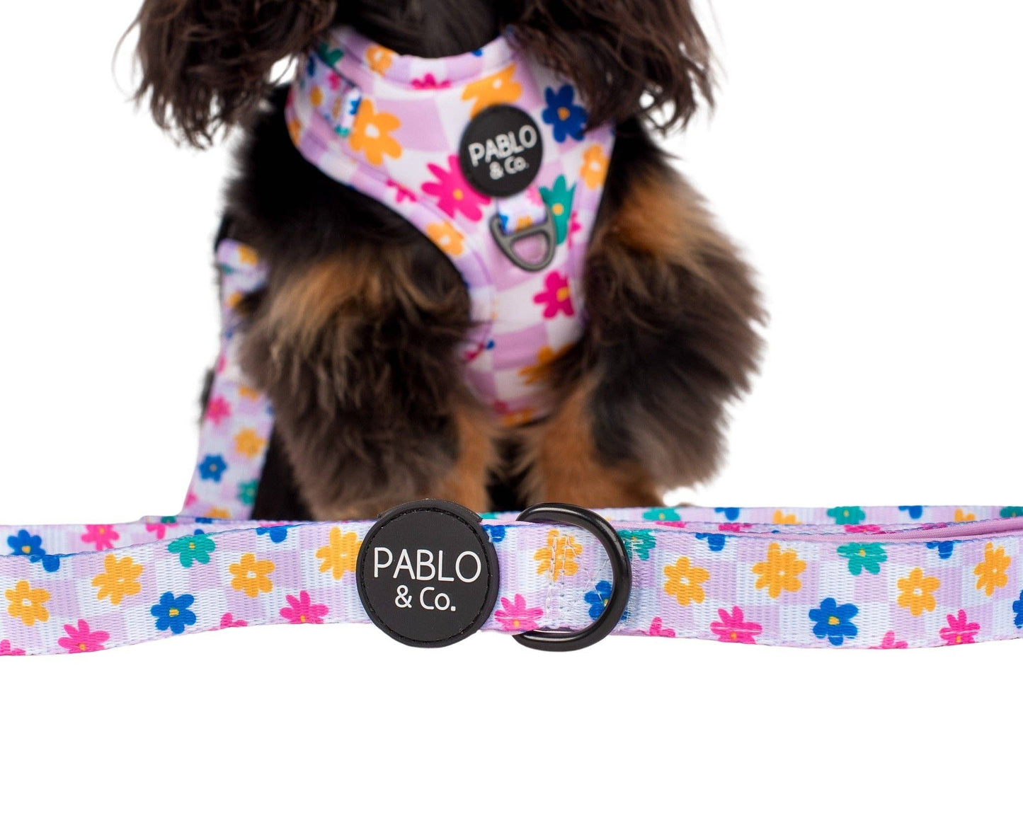 Delightful Daisies Dog Leashes - Assorted Sizes