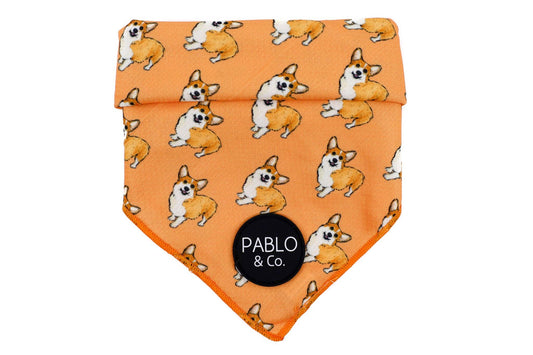 Corgi - Dog Bandana