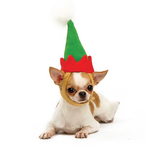 Doggie Elf Hat