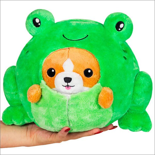 Corgi encubierto en Frog