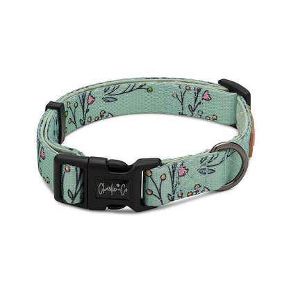 Are You Flo-REAL Dog Collar