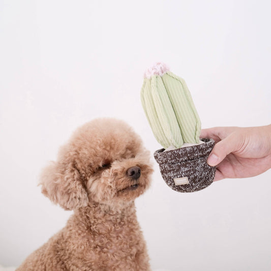 Juguete para perros con forma de cactus